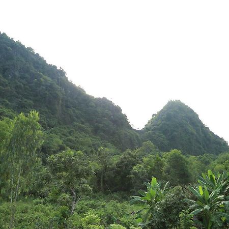 Tam'S Homestay Phong Nha Exterior photo