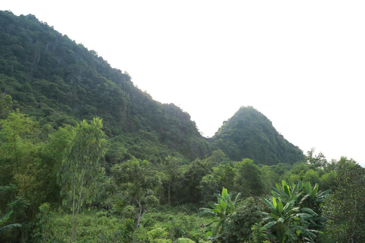 Tam'S Homestay Phong Nha Exterior photo