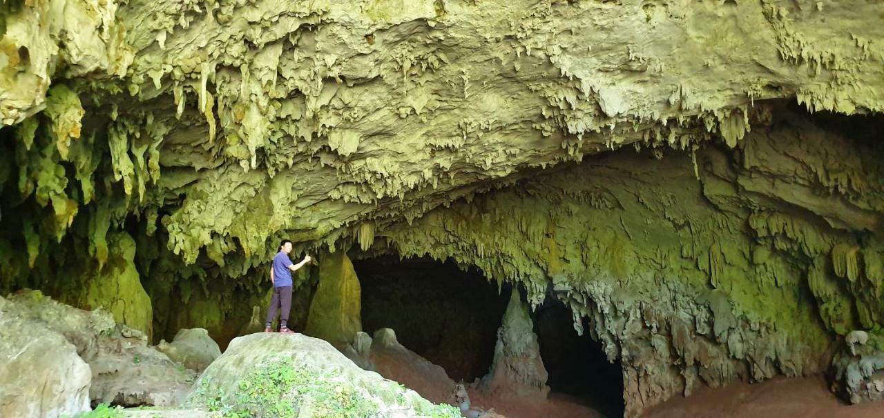 Tam'S Homestay Phong Nha Exterior photo